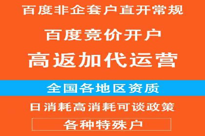 百度推广实战技巧：案例详解